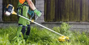 rotofil