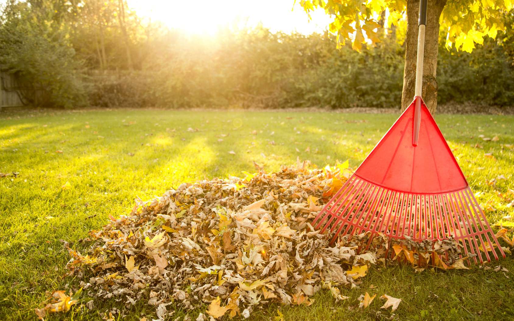 Comment entretenir son jardin en automne ?